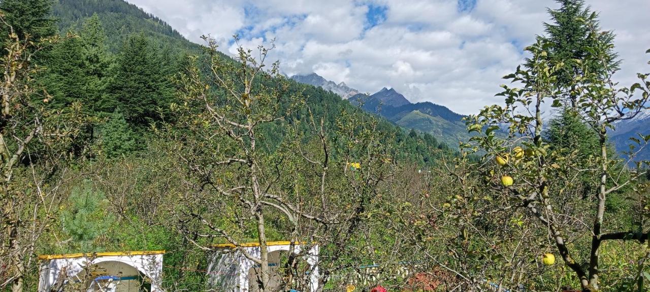 Apple Flower With Balcony And Mountain View มะนาลี ภายนอก รูปภาพ